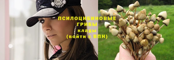 амф Алексин
