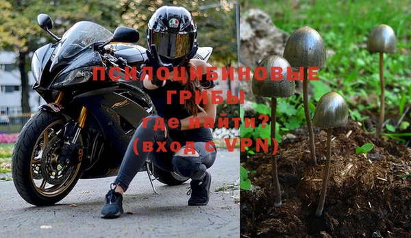 трава Алзамай