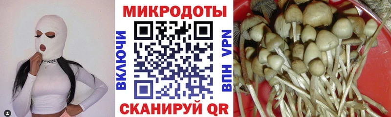 Галлюциногенные грибы Cubensis kraken вход Среднеколымск купить цена